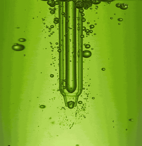 Super Cica Ampoule